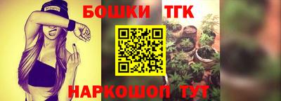 стаф Вязники