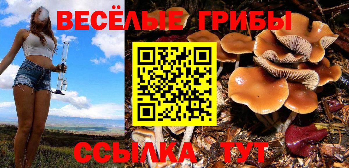Галлюциногенные грибы MAGIC MUSHROOMS Будённовск